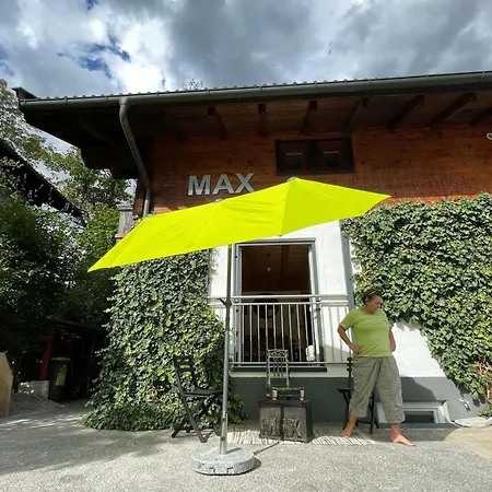 Max 231 *